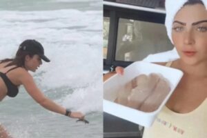 Jade vira meme ao devolver peixe ao mar e almoçar ceviche em seguida