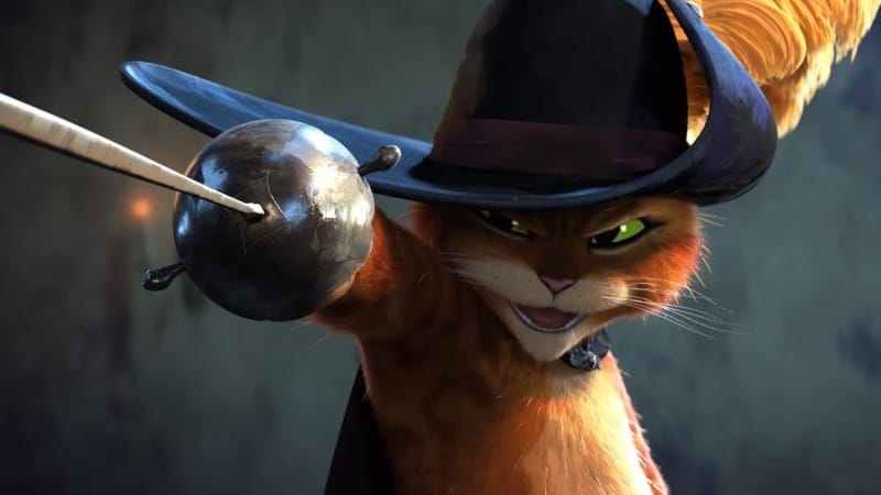o gato