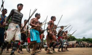 Comunicações: internet banda larga será ativada na Reserva Yanomami
