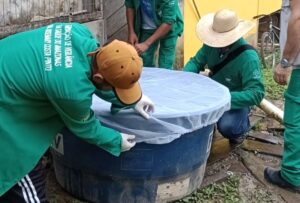 Saúde do AM orienta municípios a intensificarem ações de vigilância contra mosquito Aedes aegypti