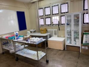 SES instala ambulatórios durante desfiles das escolas de samba em Manaus