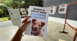 Estudantes da Ufam realizam campanha para ajudar animais abandonados no campus