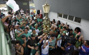 Desfilando em noite de muita chuva com enredo sobre a água, Aparecida se consagra campeã