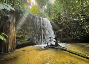 Terra das cachoeiras: Descubra os tesouros inexplorados de Presidente Figueiredo