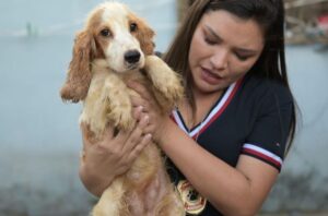 Deputada Joana Darc descobre canil dos horrores e pede ajuda da população