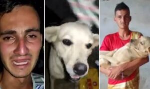 Jovem reencontra em bloco de Carnaval cão desaparecido há 4 meses
