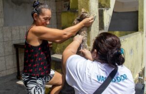 Vacinação antirrábica em Manaus: confira o cronograma desta semana