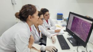 Em Brasília, pesquisadoras do AM participam de treinamento de projeto para prevenção ao câncer de colo uterino