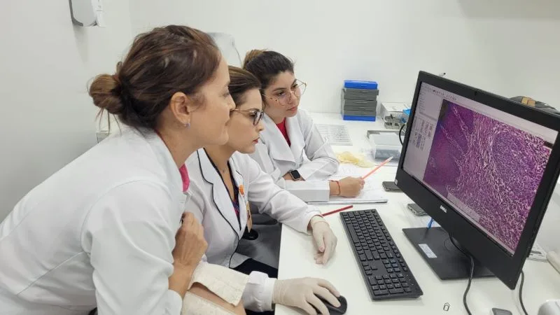 FCecon treinamento FCecon treinamento