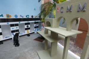 Caio André inaugura espaço pet para animais que vivem nas dependências da CMM