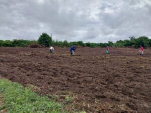 Idam leva desenvolvimento sustentável a Borba com programas de mecanização