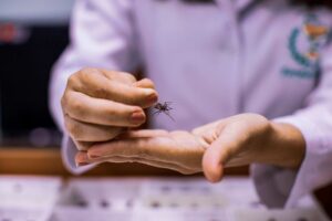 Apoiado pelo Governo do Amazonas, estudo analisa casos de doença de Chagas no estado