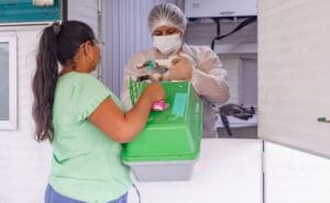 Calendário para agendamento de castração de cães e gatos é divulgado pela Prefeitura de Manaus