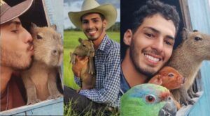 ‘Animal silvestre não é pet’, diz Ibama ao confirmar multa ao influenciador que criava capivara