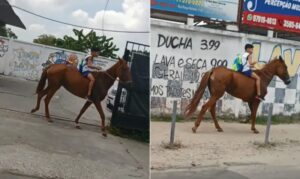 Menino de 11 anos viraliza indo para escola de cavalo: ‘Pneu da bicicleta furou’