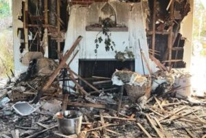 Estrela de Grey’s Anatomy revela incêndio que destruiu sua casa e matou quatro animais de estimação