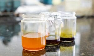 Pesquisa do AM aponta potencial fitocosmético na semente de guaraná e no óleo do pau-rosa