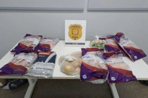‘Tias do lanche’ são presas com filés de tilápia roubados de escola pública