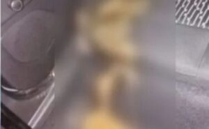 Motorista de app procura passageira que defecou dentro do carro