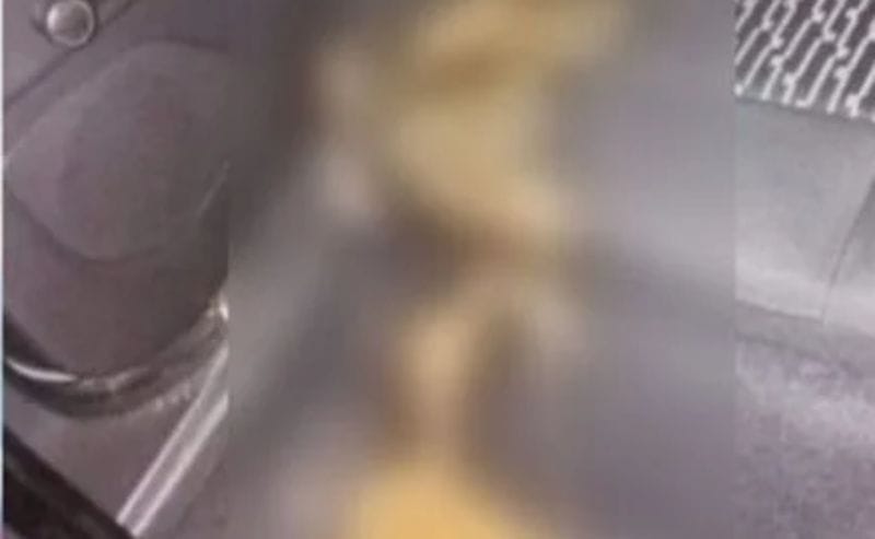 mulher defeca em carro