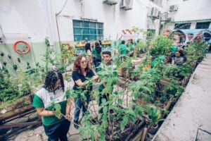 Pesquisa organiza jardim sensorial para ensinar botânica e desenvolvimento sustentável, no AM