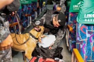 Homenagens, medalhas e até aposentadoria fazem parte dos direitos dos cães policiais do Amazonas