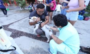 ‘Câmara Cidadã’ oferece emissão de RG à vacinação de pets na Bola da Suframa