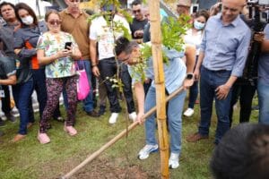 David Almeida lança plano municipal de arborização ‘Manaus Verde’ biênio 2023/2024