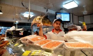 Peixes em seis estados da Amazônia têm contaminação por mercúrio