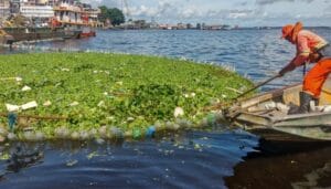 Diversos tipos de lixo são retirados da orla da Manaus Moderna durante ação de limpeza