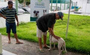 Confira o calendário para agendamento de castração de cães e gatos entre julho e setembro, em Manaus