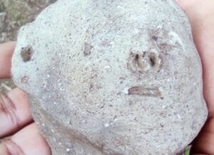 Pesquisa identifica patrimônio geológico e arqueológico de São Gabriel da Cachoeira