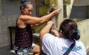 Vacinação contra raiva animal é intensificada em Manaus; confira os próximos bairros contemplados