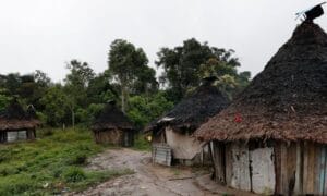 Ataque a tiros em aldeia yanomami mata criança e deixa cinco feridos