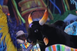 Caprichoso é o campeão do 56° Festival Folclórico de Parintins