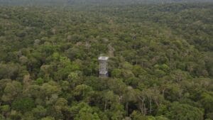 Eneva e BNDES investem R$ 8,9 milhões na revitalização da Amazônia