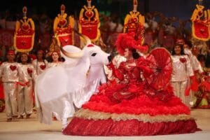 Garantido leva trajetória de lutas e glórias para o Bumbódromo na última noite do Festival de Parintins