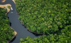 Amazonas é citado pela Forbes como o melhor lugar do mundo para o ecoturismo