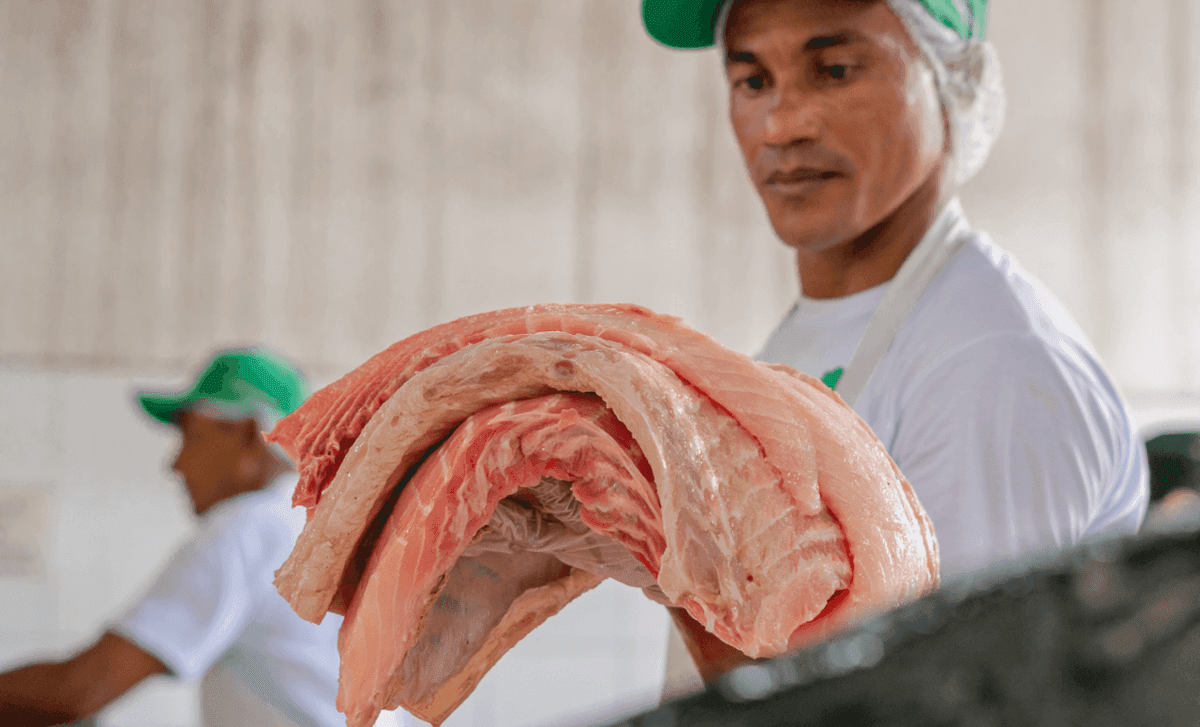 FAS pirarucu manaus amazonas
