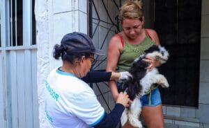 Vacinação antirrábica estará em mais 13 bairros de Manaus na próxima semana; veja o cronograma
