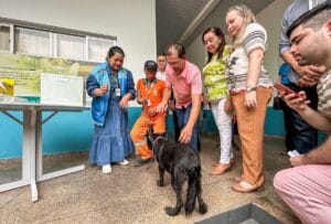 Campanha de vacinação antirrábica tem meta de imunizar mais de 250 mil animais em Manaus