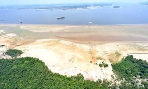 Governo vai antecipar Bolsa Família em municípios atingidos por seca histórica no Amazonas
