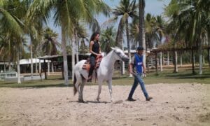 Feira de Agronegócios terá cavalgada, shows e concurso do ‘Melhor Traje Country’