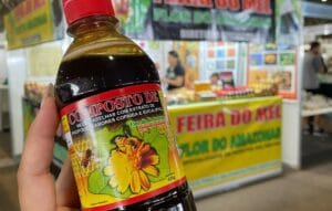 Mel do Amazonas é consagrado o melhor do Brasil em premiação nacional