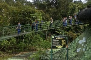 Parque Estadual Sumaúma oferece diversas atividades gratuitas neste sábado (18); confira