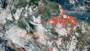 Queimadas do oeste do Pará e Região Metropolitana de Manaus são responsáveis por fumaça no AM