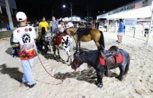 Confira a programação infantil e atrações regionais da Expoagro, que encerra domingo (10)