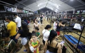 Expoagro 2023: evento gratuito acontece de 5 a 10 de dezembro, com diversas atrações