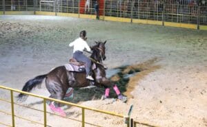 Expoagro: Competição de Três Tambores vai encerrar Campeonato Amazonense com premiação de R$ 20 Mil