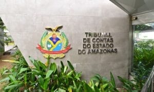 TCE-AM define período de recesso e suspensão de prazos processuais